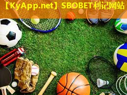 SBOBET利记网站：乒乓球台台面墨绿颜色