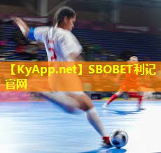 利记官网入口：DIY体验者必读！斜杆篮球架安装简单技巧快抢先