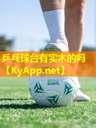 乒乓球台有实木的吗