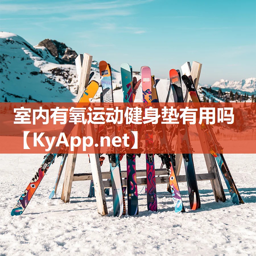 室内有氧运动健身垫有用吗