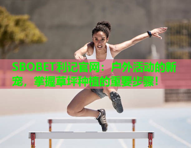 SBOBET利记官网：户外活动的新宠，掌握草坪种植的重要步骤！