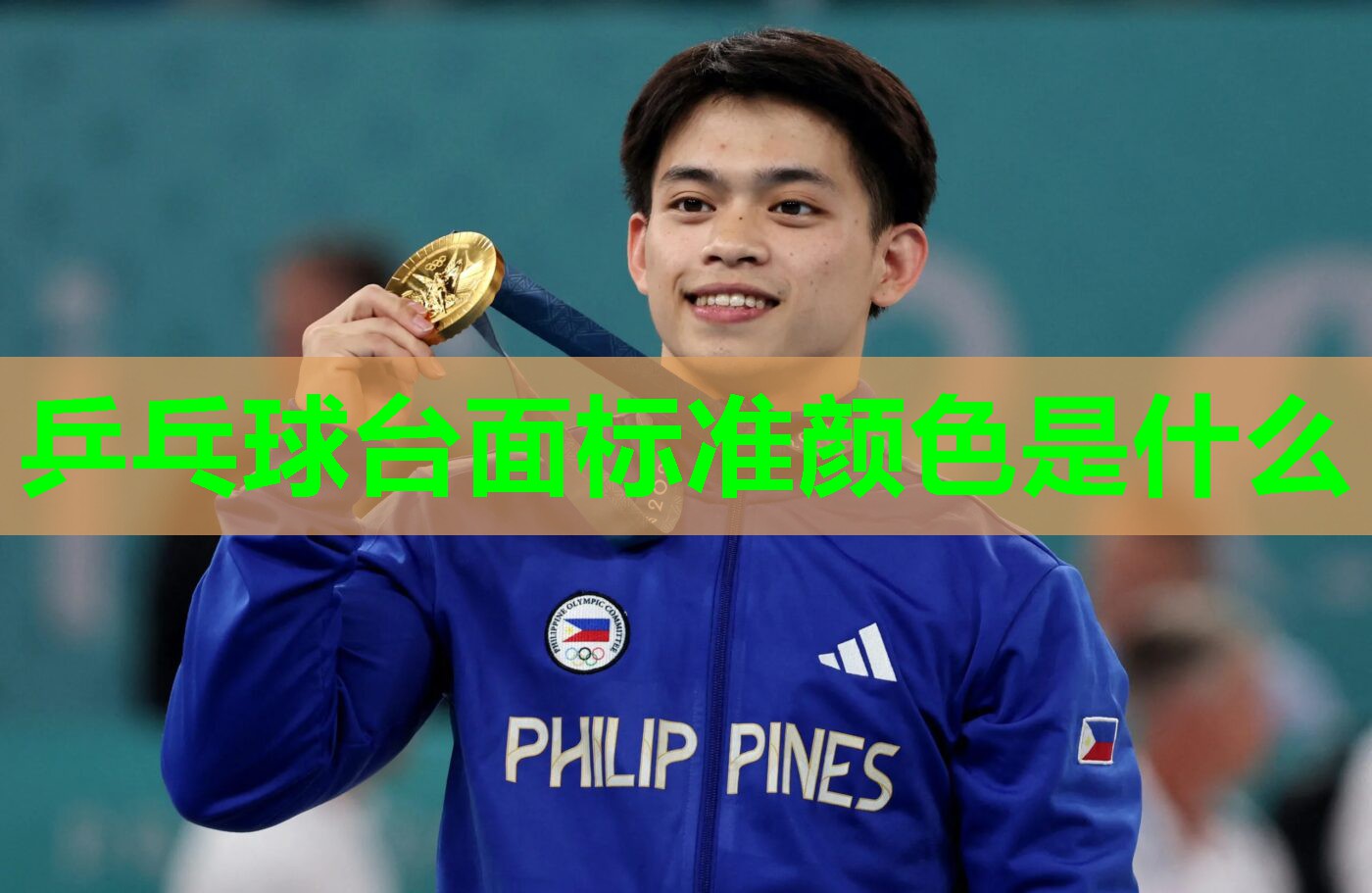 乒乓球台面标准颜色是什么