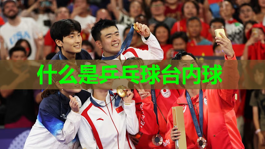什么是乒乓球台内球