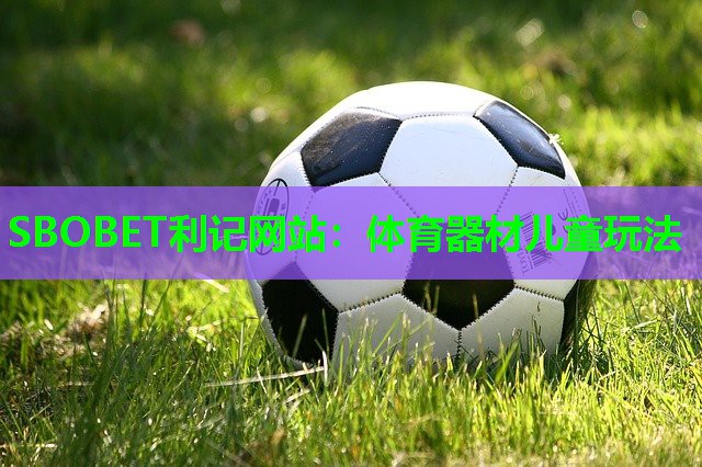 SBOBET利记网站：体育器材儿童玩法