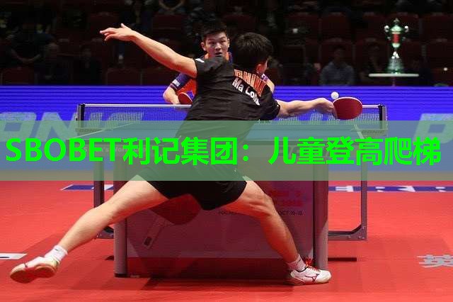SBOBET利记集团：儿童登高爬梯