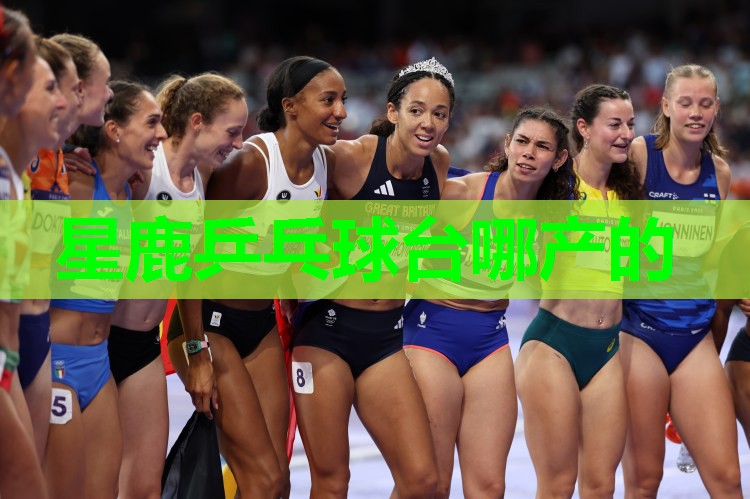 星鹿乒乓球台哪产的