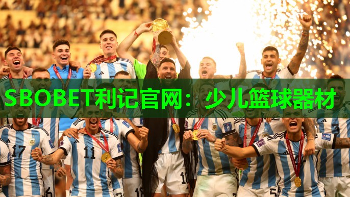SBOBET利记官网：少儿篮球器材