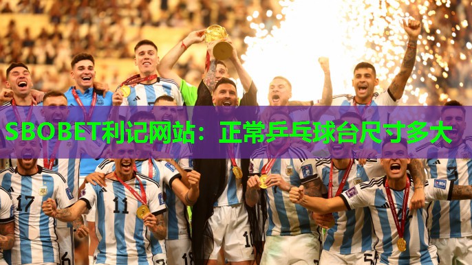 SBOBET利记网站：正常乒乓球台尺寸多大