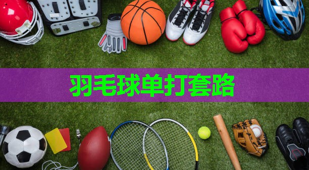 羽毛球单打套路