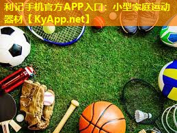 小型家庭运动器材 小型家庭运动器材