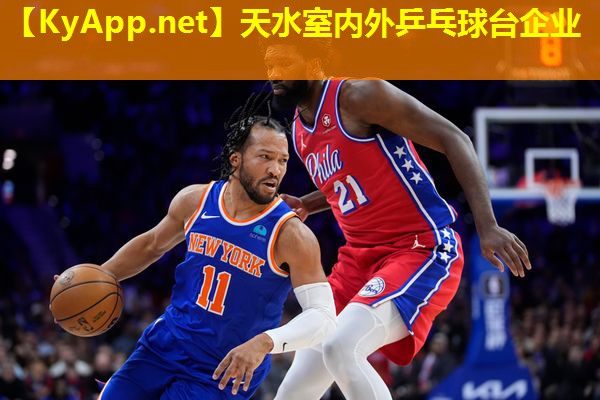 天水室内外乒乓球台企业 天水室内外乒乓球台企业