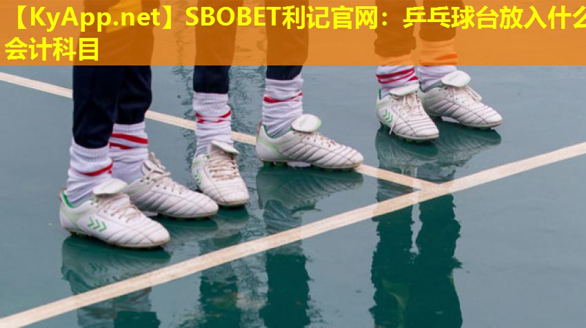 乒乓球台放入什么会计科目 乒乓球台放入什么会计科目