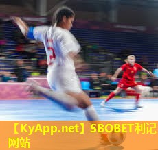 乒乓球台内轻球 乒乓球台内轻球