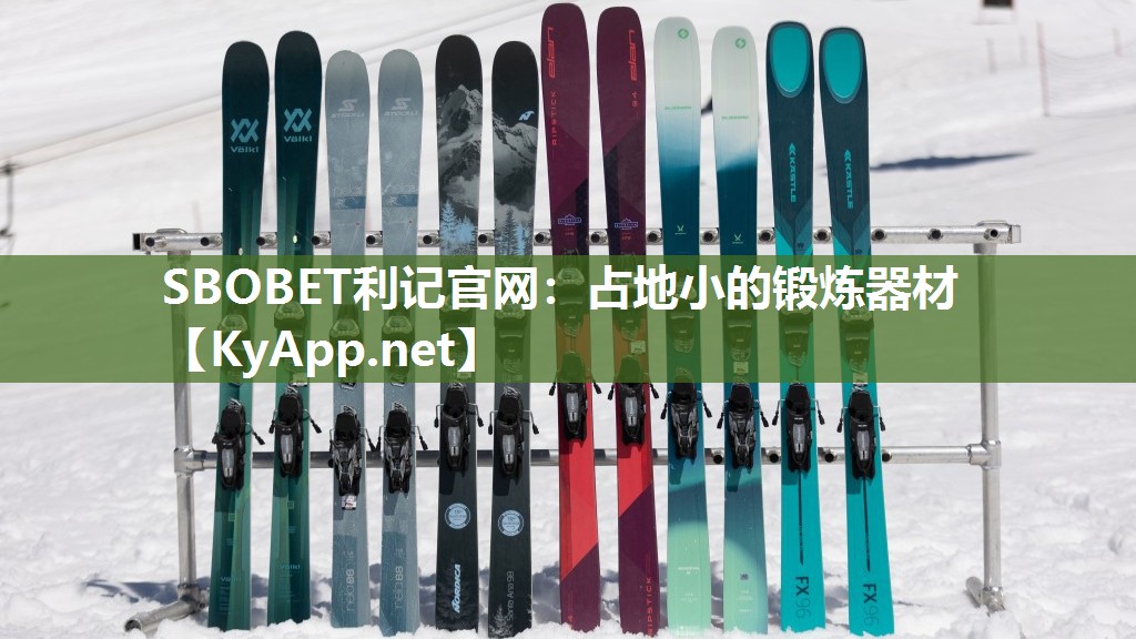 占地小的锻炼器材 占地小的锻炼器材
