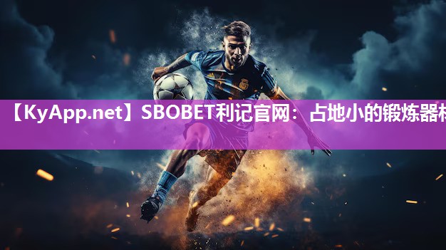 占地小的锻炼器材 占地小的锻炼器材