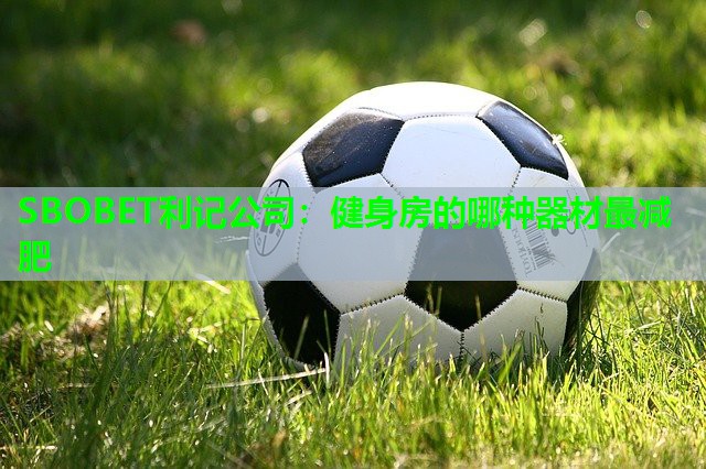 健身房的哪种器材最减肥 健身房的哪种器材最减肥