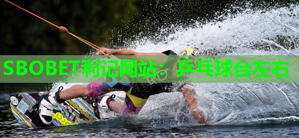 乒乓球台左右 乒乓球台左右