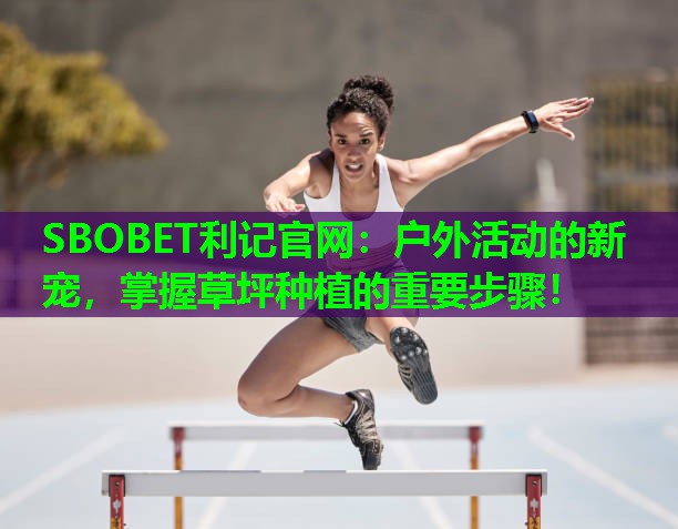 户外活动的新宠,掌握草坪种植的重要步骤! 户外活动的新宠,掌握草坪种植的重要步骤!