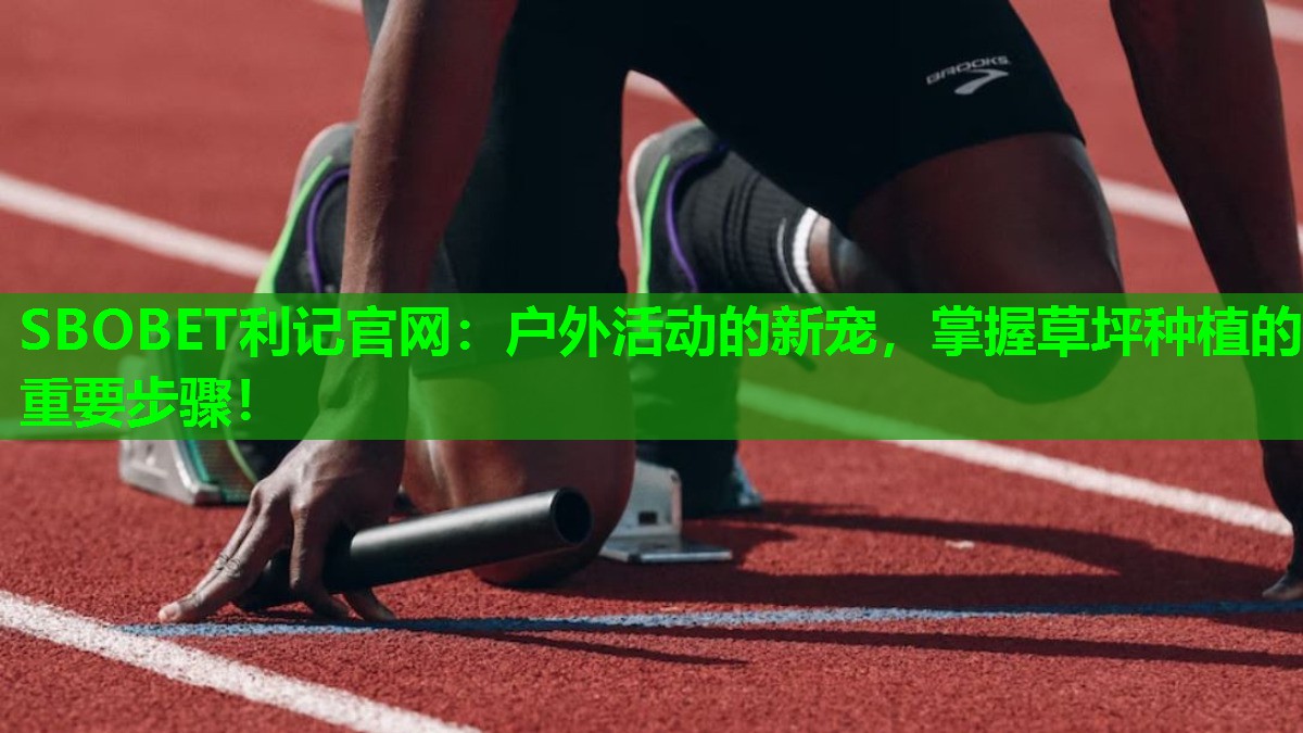 户外活动的新宠,掌握草坪种植的重要步骤! 户外活动的新宠,掌握草坪种植的重要步骤!