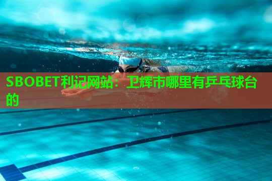 卫辉市哪里有乒乓球台的