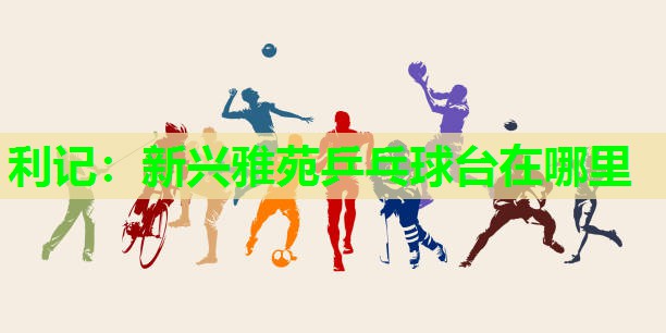 新兴雅苑乒乓球台在哪里