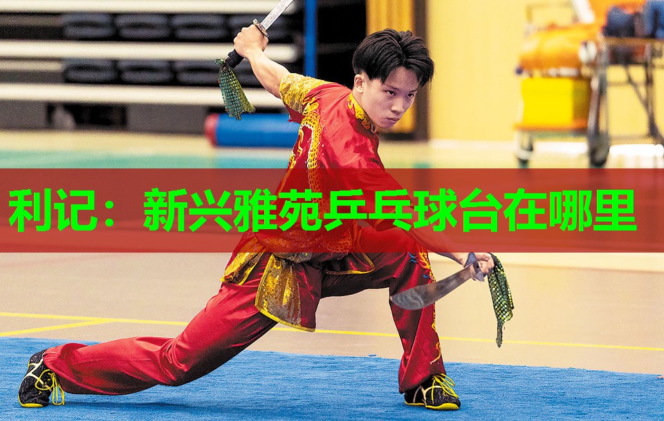 新兴雅苑乒乓球台在哪里