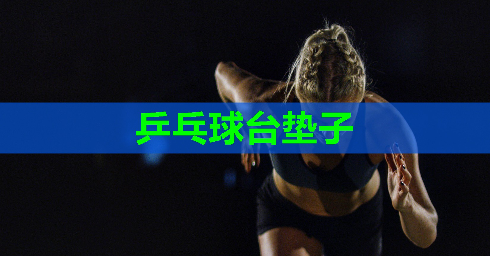 乒乓球台垫子 乒乓球台垫子