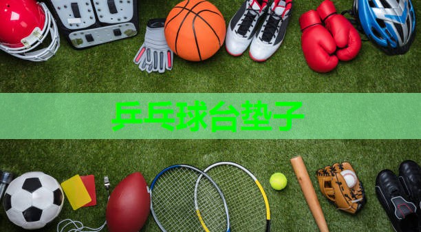 乒乓球台垫子 乒乓球台垫子