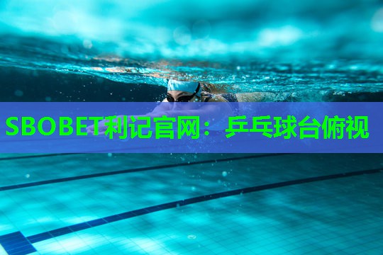 乒乓球台俯视