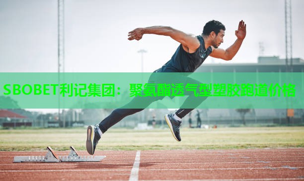 聚氨酯透气型塑胶跑道价格 聚氨酯透气型塑胶跑道价格