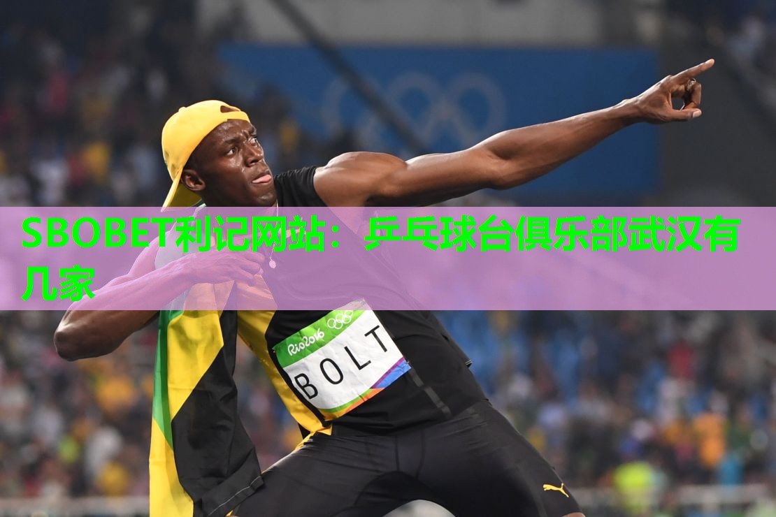 乒乓球台俱乐部武汉有几家 乒乓球台俱乐部武汉有几家