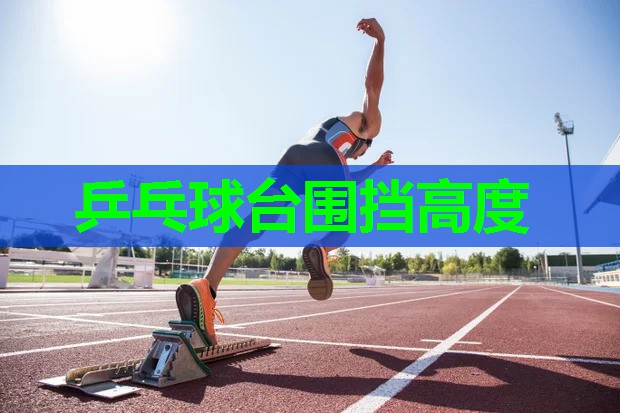 乒乓球台围挡高度 乒乓球台围挡高度