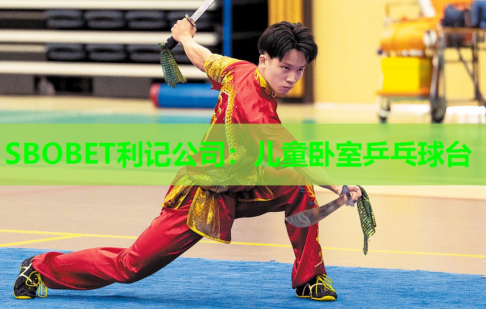 儿童卧室乒乓球台 儿童卧室乒乓球台