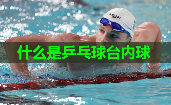 什么是乒乓球台内球 什么是乒乓球台内球