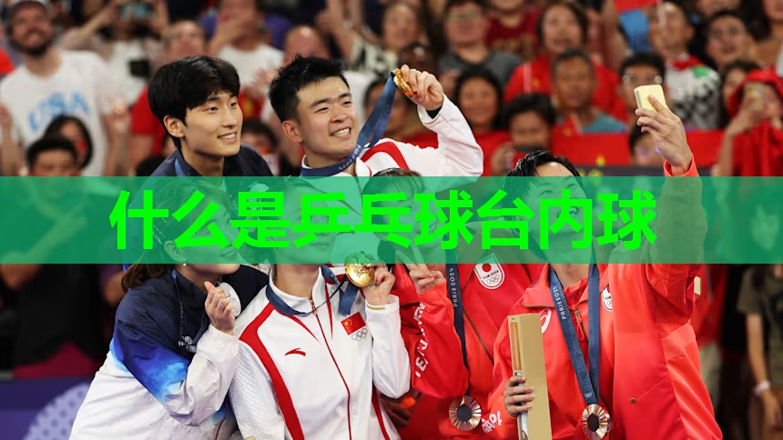什么是乒乓球台内球 什么是乒乓球台内球