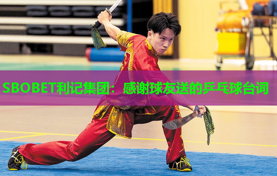 感谢球友送的乒乓球台词 感谢球友送的乒乓球台词
