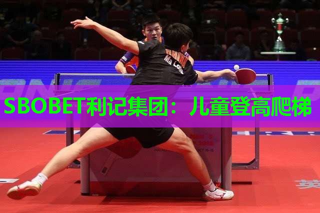 儿童登高爬梯 儿童登高爬梯