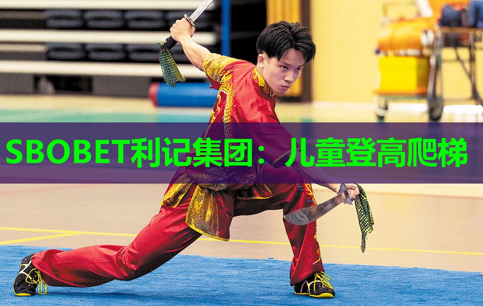 儿童登高爬梯 儿童登高爬梯