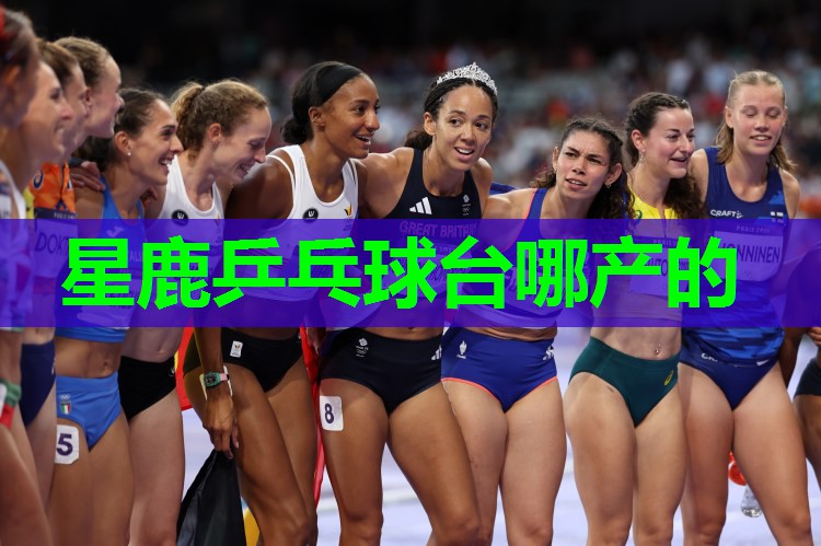 星鹿乒乓球台哪产的 星鹿乒乓球台哪产的
