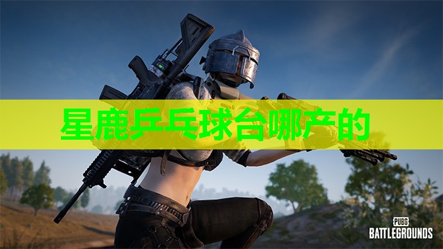 星鹿乒乓球台哪产的 星鹿乒乓球台哪产的