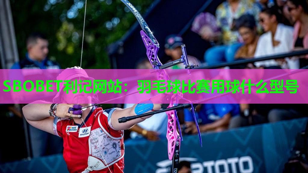 羽毛球比赛用球什么型号 羽毛球比赛用球什么型号