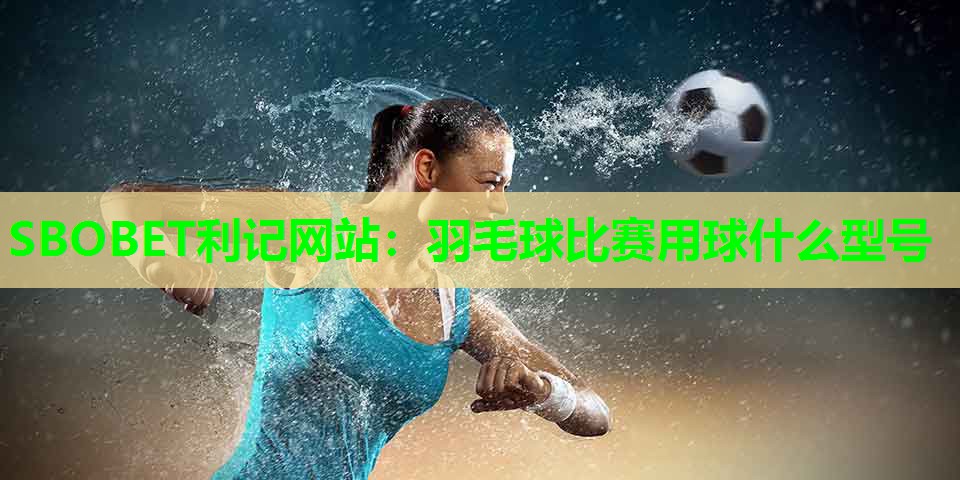 羽毛球比赛用球什么型号 羽毛球比赛用球什么型号