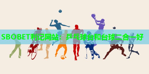 乒乓球台和台球二合一好 乒乓球台和台球二合一好