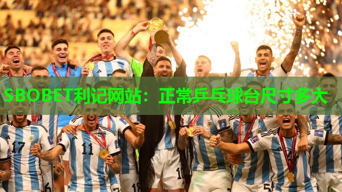 正常乒乓球台尺寸多大 正常乒乓球台尺寸多大
