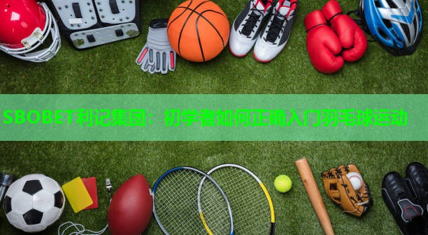 初学者如何正确入门羽毛球运动 初学者如何正确入门羽毛球运动