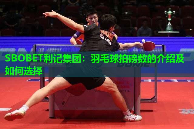 羽毛球拍磅数的介绍及如何选择 羽毛球拍磅数的介绍及如何选择