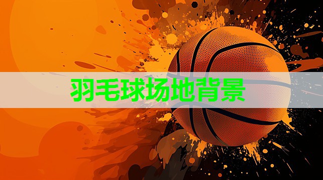羽毛球场地背景 羽毛球场地背景