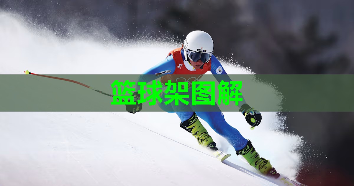 篮球架图解 篮球架图解