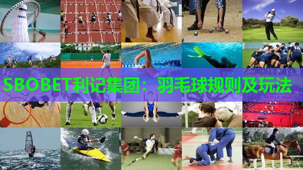 羽毛球规则及玩法 羽毛球规则及玩法